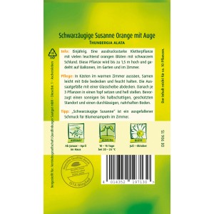Samenpackung Quedlinburger Schwarzäugige Susanne Orange, Kletterpflanze mit orangen Blüten.