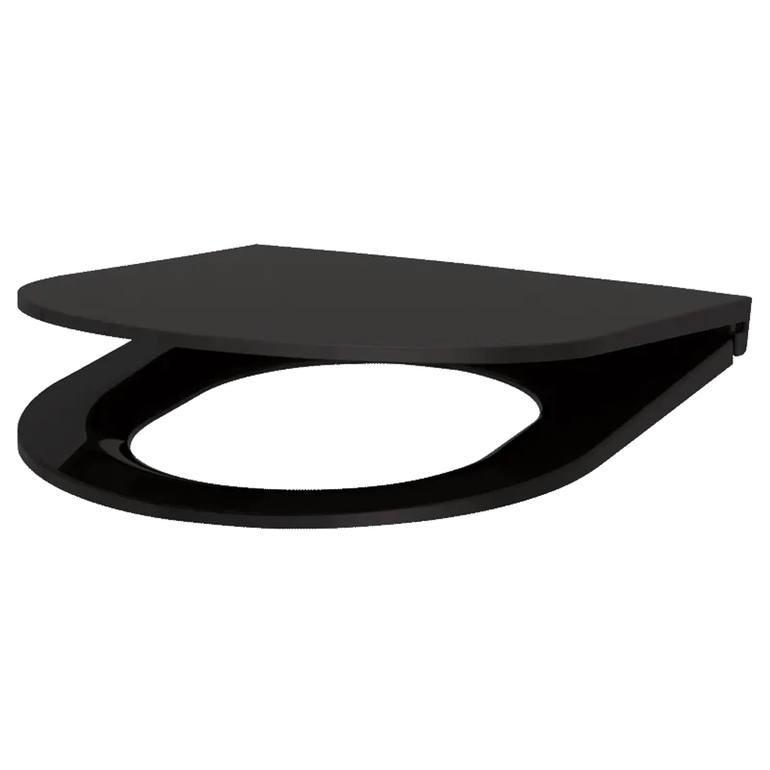 Delabie WC-Sitz Slim S21 Schwarz Matt Duroplast mit Absenkautomatik.