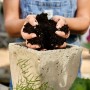 Hände füllen Topf mit Compo Bio Anzuchterde, torffrei. Ideal für Kräuter & Aussaat.