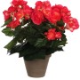 Dunkelrosa Kunstblume Begonie im Terrakotta-Topf, 30 cm hoch, ideal als pflegeleichte Dekoration.