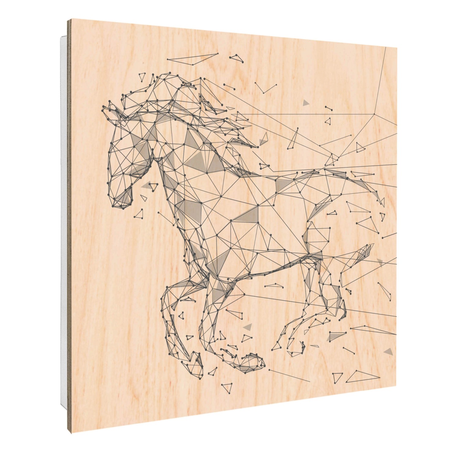 Banjado Schlüsselkasten mit Holzfront 30x30cm Weiß Scharnier Links 50 Haken günstig online kaufen