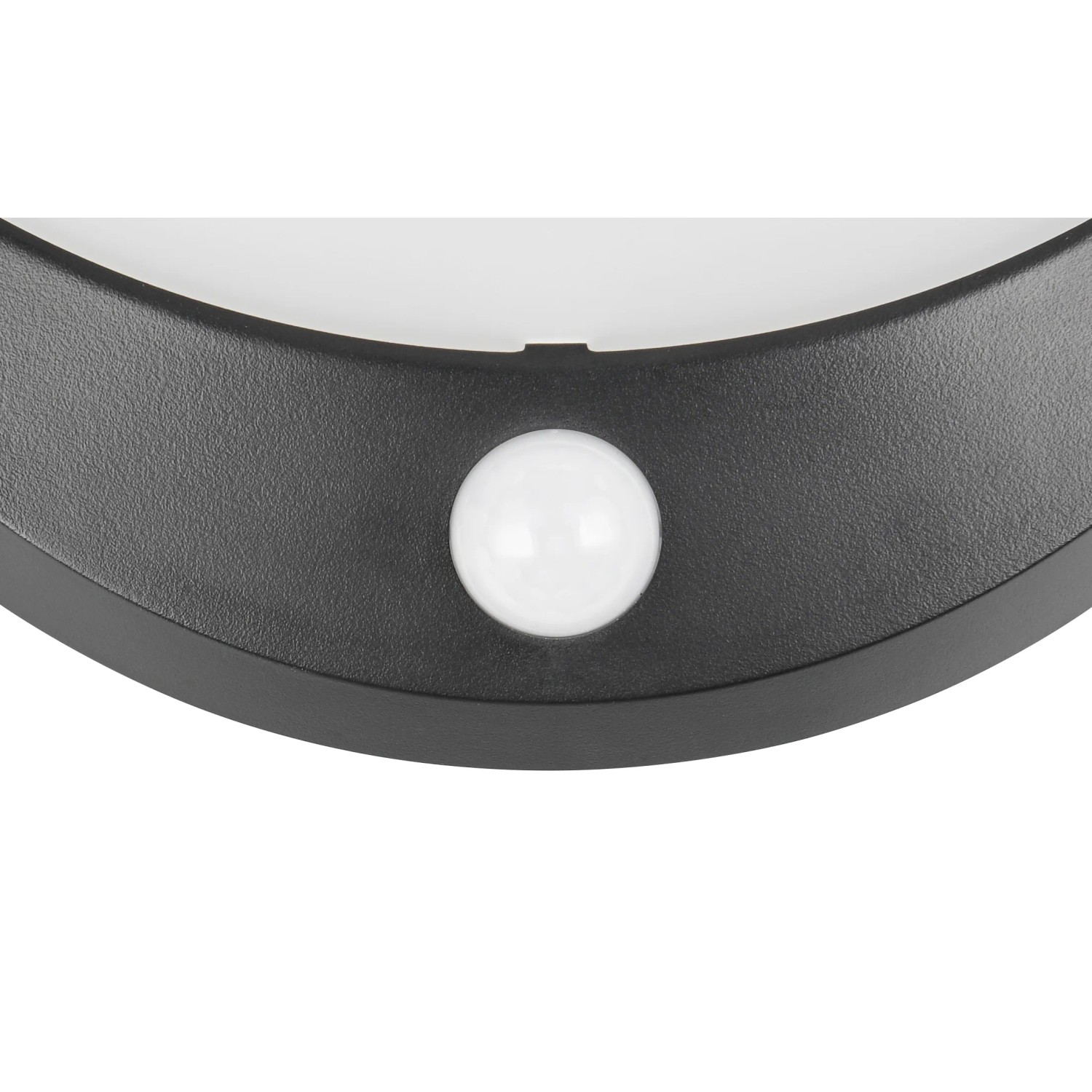Detailaufnahme der schwarzen Reality LED Solar-Wandleuchte Cobre mit Bewegungsmelder.