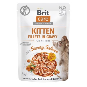 Brit Care Katzen-Nassfutter Adult Savory Salmon Kitten, 85g Packung mit Lachs und Kätzchen.