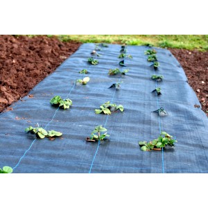 Schwarze Aquagart Unkrautfolie (100g, 1m breit) mit Pflanzlöchern im Gartenbeet.