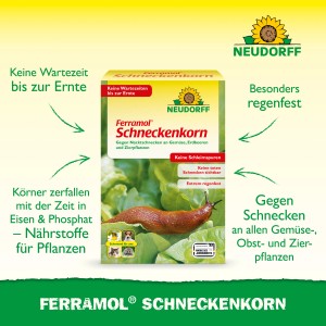 Neudorff Ferramol Schneckenkorn 2 kg Packung mit Schnecke auf Salatblatt. Regenfeste Schneckenbekämpfung für den Garten.