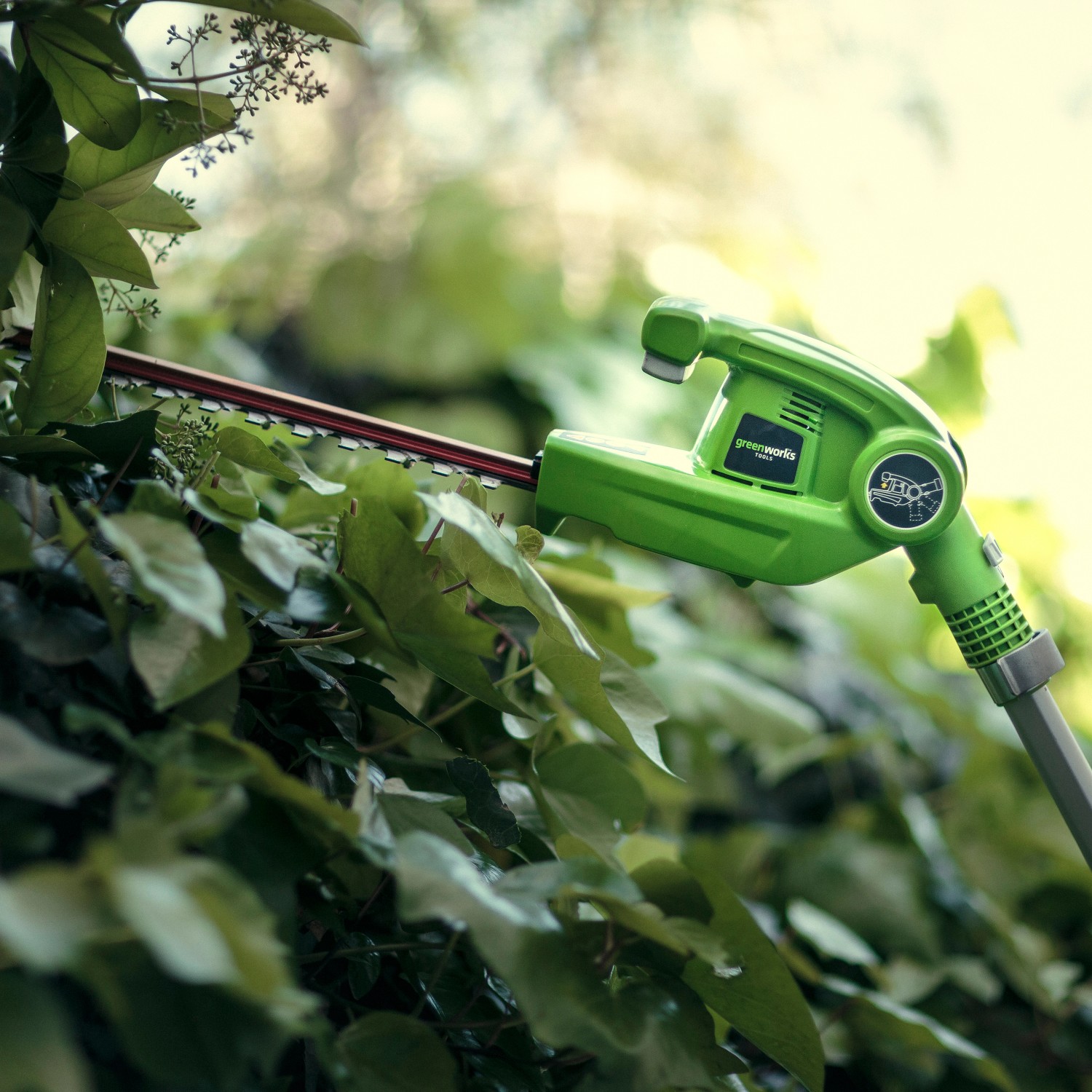 Greenworks Akku-Teleskop-Heckenschere G40PHA beim Heckenschnitt. Kabellose Heckenschere mit Teleskopstiel.