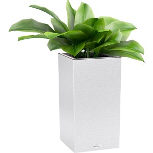Lechuza Canto Stone Pflanzsäule mit LED-Lichtband, Quarzweiß, 30x56 cm.