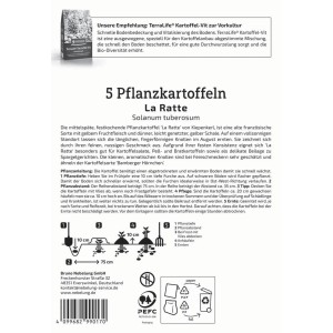 Kiepenkerl Pflanzkartoffel Ratte, 5 St