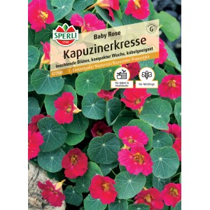 Sperli Saatgut Kapuzinerkresse Baby Rose