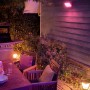 Philips Hue Econic LED-Sockelleuchte im Garten mit farbiger Beleuchtung.