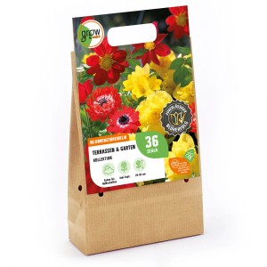 GROW by OBI Terrassen- und Garten-Kollektion, Blumenzwiebeln mit roten und gelben Blüten, ca. 25-35cm hoch.