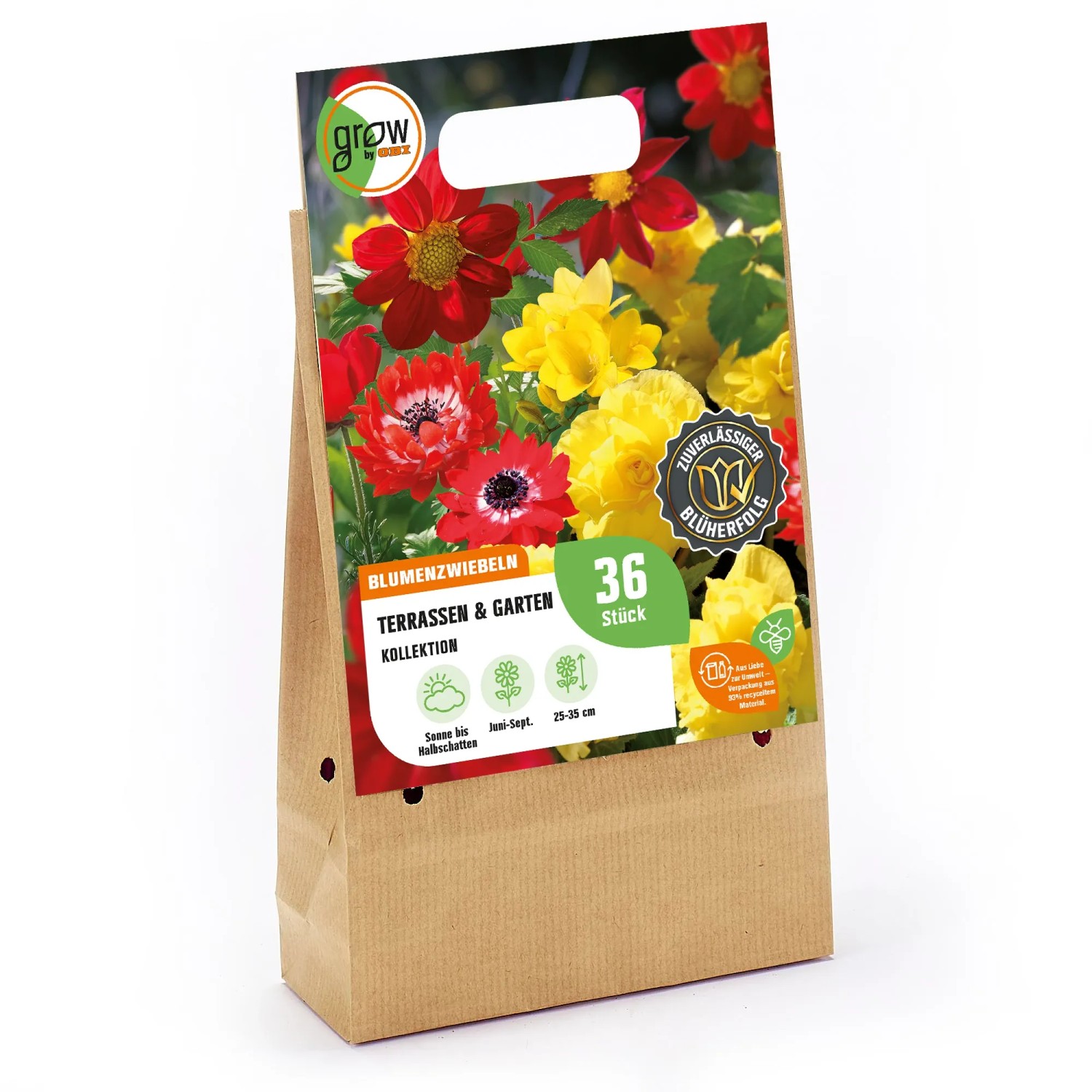GROW by OBI Terrassen- und Garten-Kollektion, Blumenzwiebeln mit roten und gelben Blüten, ca. 25-35cm hoch.