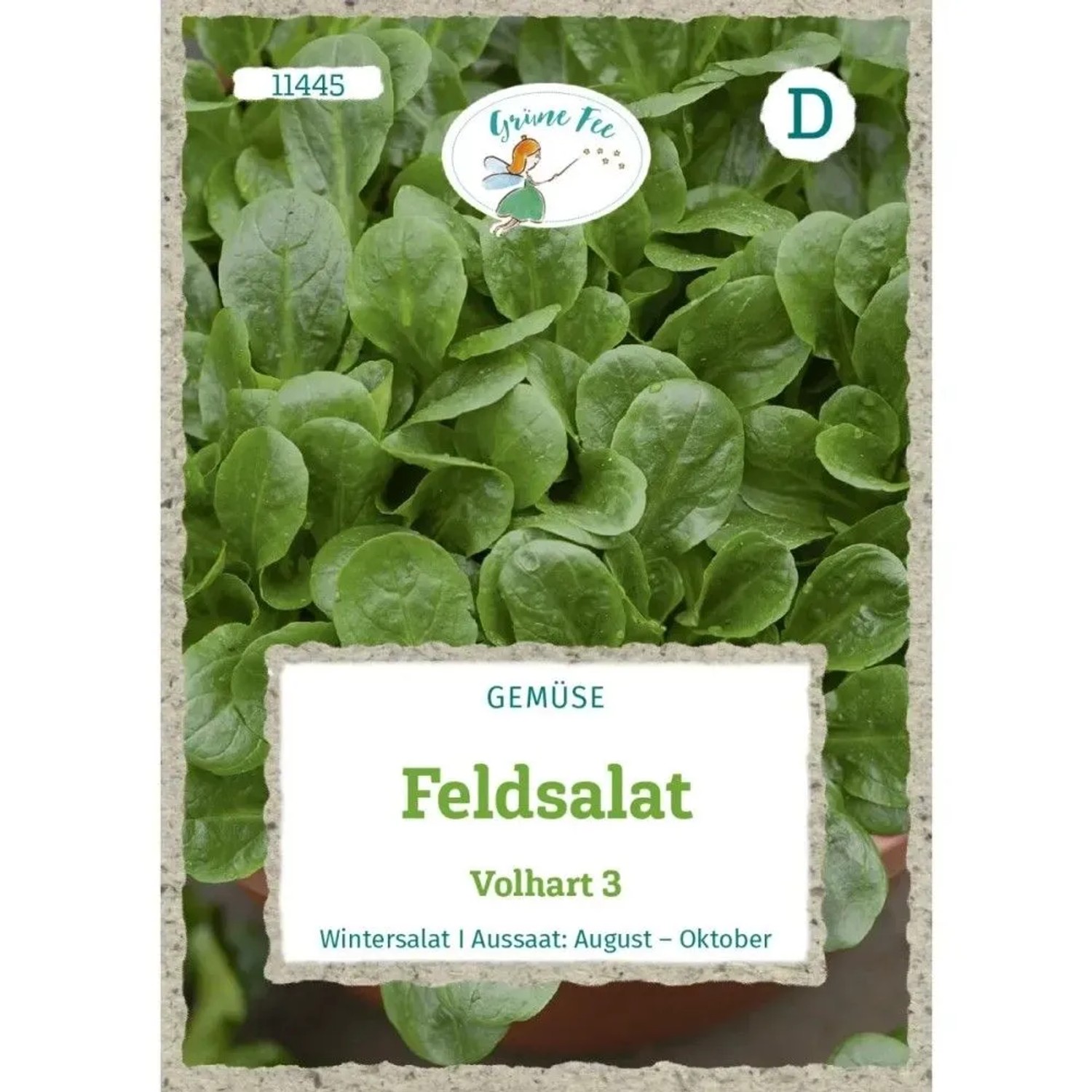 Grüne Fee Feldsalat Volhart 3 Saatgut