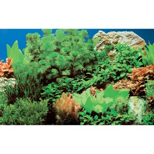 Aquarium Fotorückwand mit dichtem Pflanzenbewuchs, grünen Wasserpflanzen, Felsen und blauem Hintergrund für Tiefenwirkung.