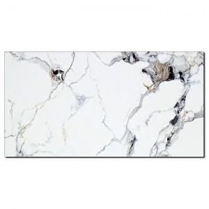 Aluverbund24 PVC Wandpaneele Duschrückwand Küchenrückwand Wandfliesen Arabescato White in Marmor-Optik Hochglanz 60x120cm