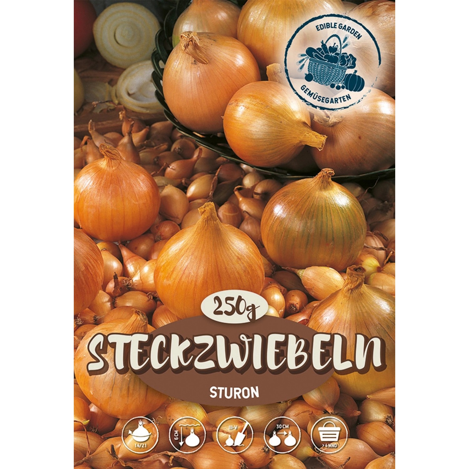 Steckzwiebeln "Sturon" 75 Stück kaufen bei OBI