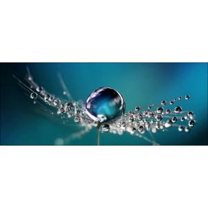 Glasbild: Wassertropfen auf Pusteblume, 80x30 cm. Moderne Wanddeko für Wohnräume.