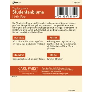 Pabst Keimkraft Studentenblume Little Bee Saatgut für ca. 50 Pflanzen.