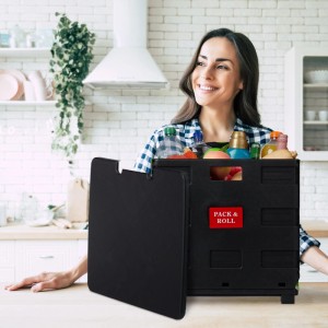 Relaxdays Einkaufstrolley ABS Aluminium Grün Klappbar 99 cm x 45,5 cm x 37,5 cm 3 kg