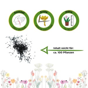 Abbildung von Pfefferminzsamen mit Aussaat-, Ernte- und Höhenangaben für ca. 100 Pflanzen.
