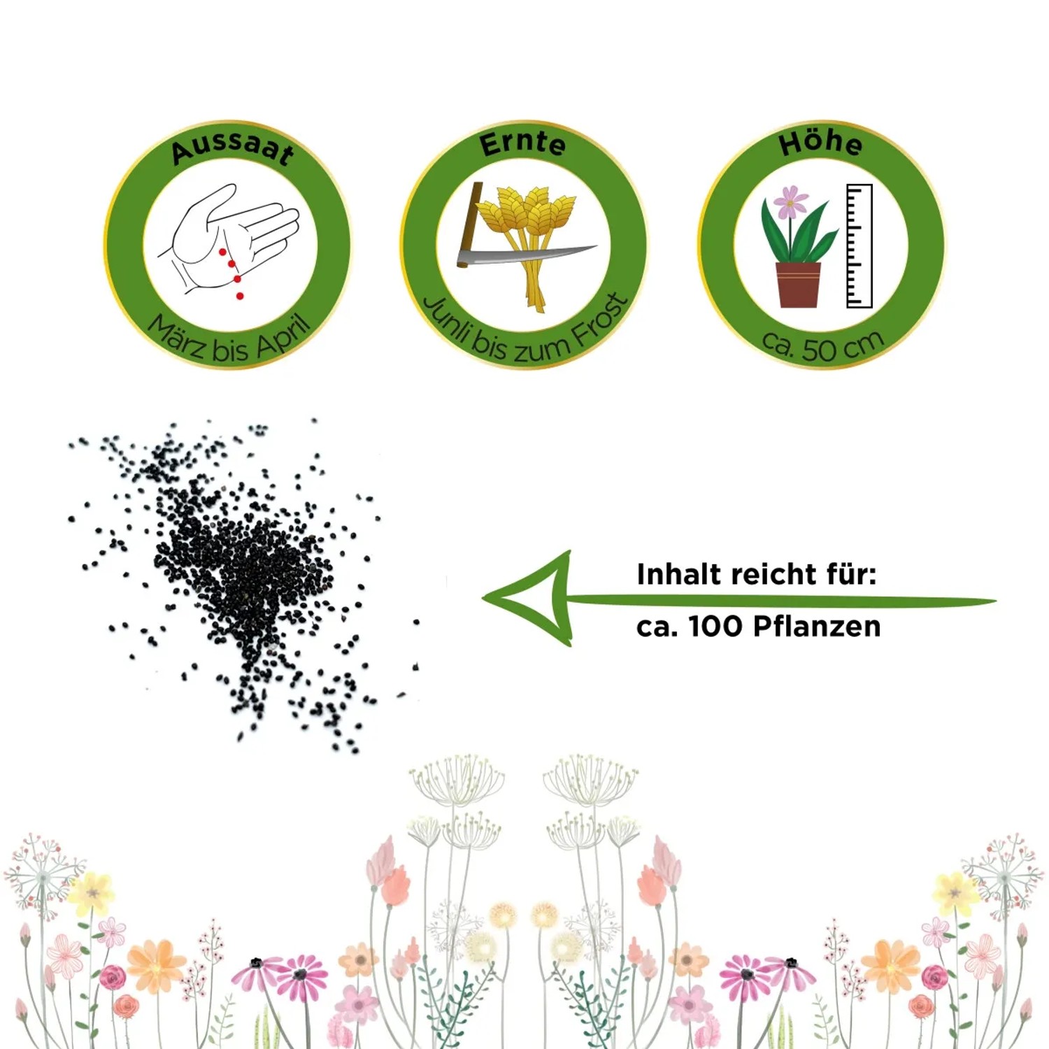 Abbildung von Pfefferminzsamen mit Aussaat-, Ernte- und Höhenangaben für ca. 100 Pflanzen.