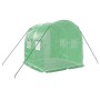 vidaXL Gewächshaus mit Stahlrahmen Grün 4 m² 2x2x2 m 364073_6