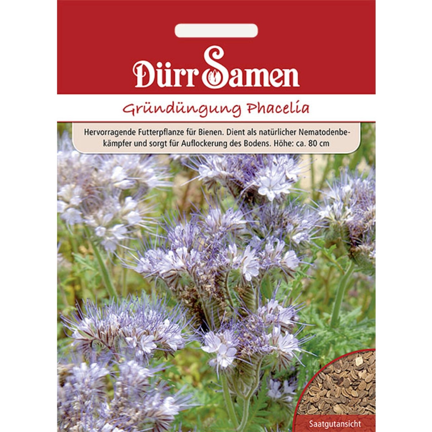 Dürr Samen Gründüngung Phacelia/Bienenfreund 400 G Saatgut günstig online kaufen