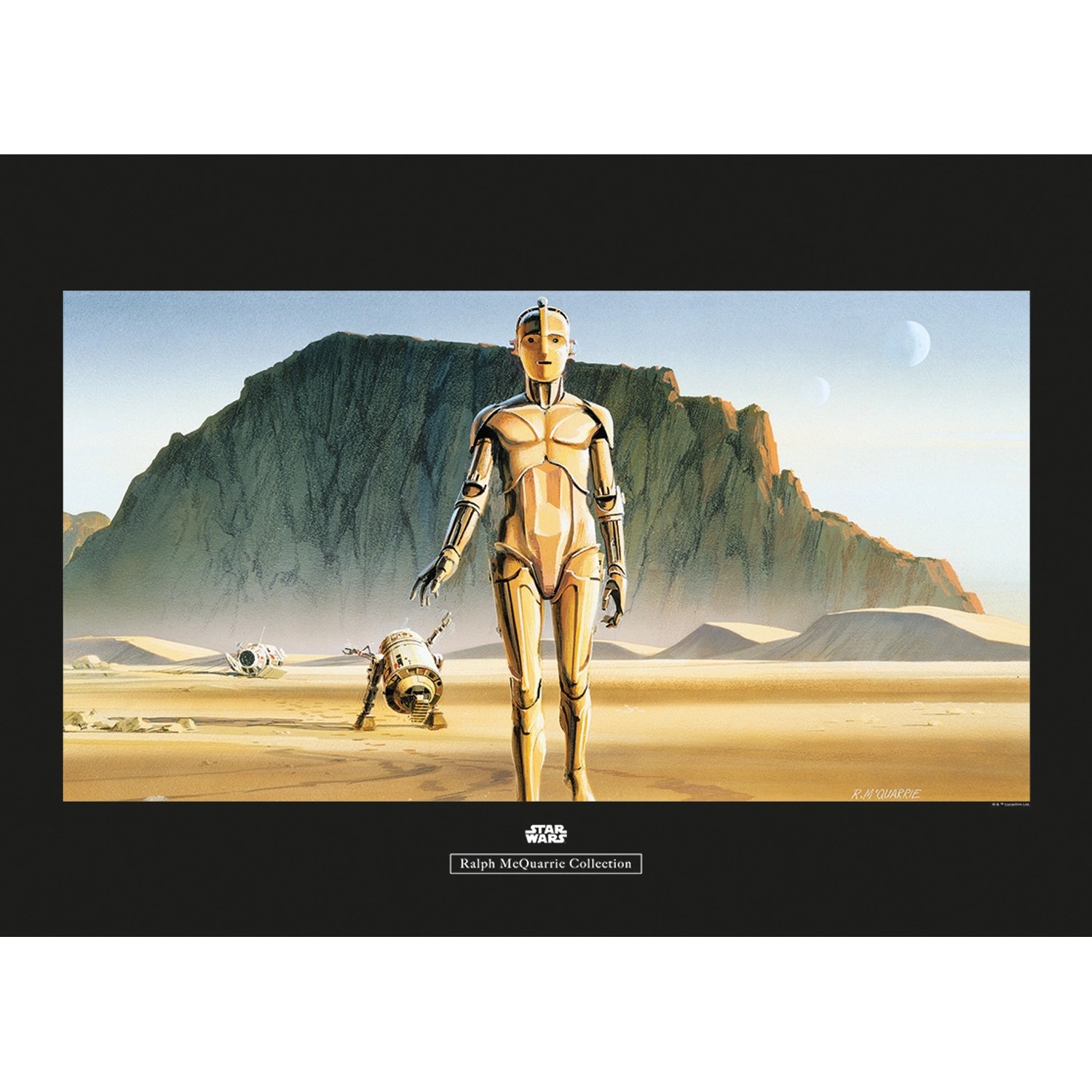 Komar Wandbild Star Wars Droids 70 x 50 cm