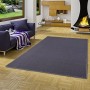Blauer Snapstyle Sisal Teppich Natur Klassisch, 160x240 cm, im Wohnzimmer.