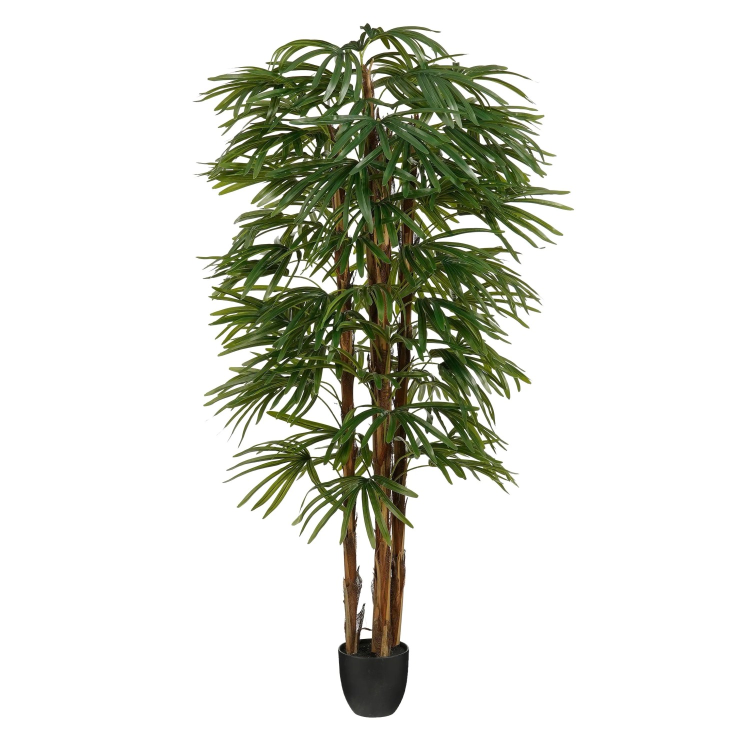 Mica Decorations Deko Palme Ø 75 cm x 180 cm Grün kaufen bei OBI