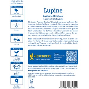 Kiepenkerl Lupine Avalune Bicolour Saatgutpackung, Blumensamen für farbenfrohe Blüten.