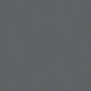 Uni Vliestapete in Grau-Schwarz mit leichter Struktur, geeignet für Wohnräume.