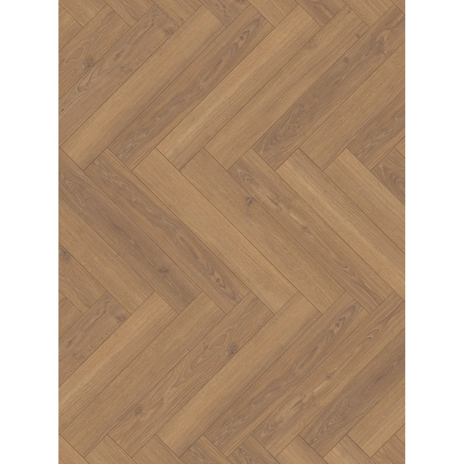 Parador Laminatbodenmuster Trendtime 3 Eiche Studioline Honig