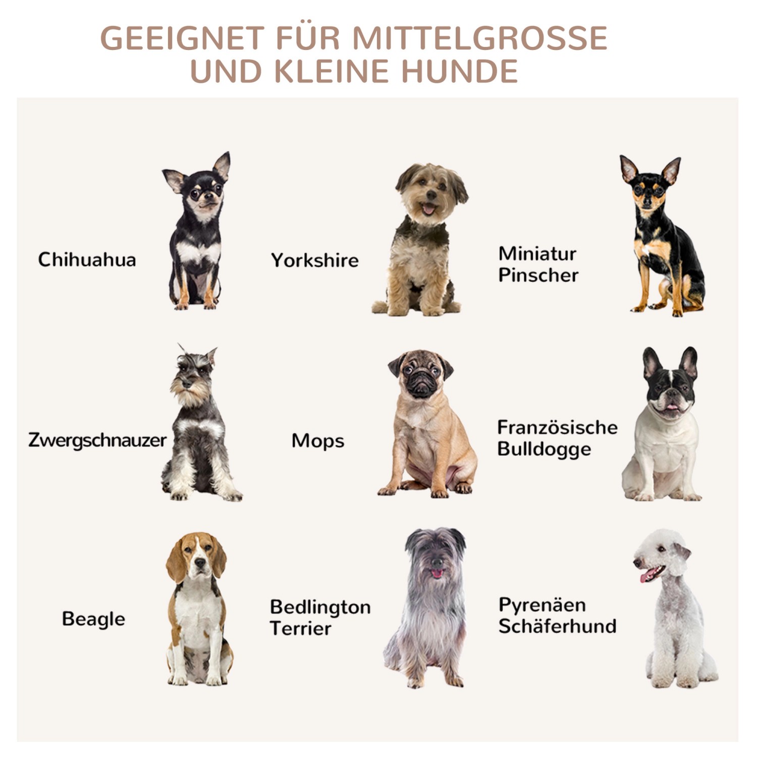 Geeignete Hunderassen für den PawHut Hundekäfig: Chihuahua, Yorkshire, Mops, Beagle u.a.