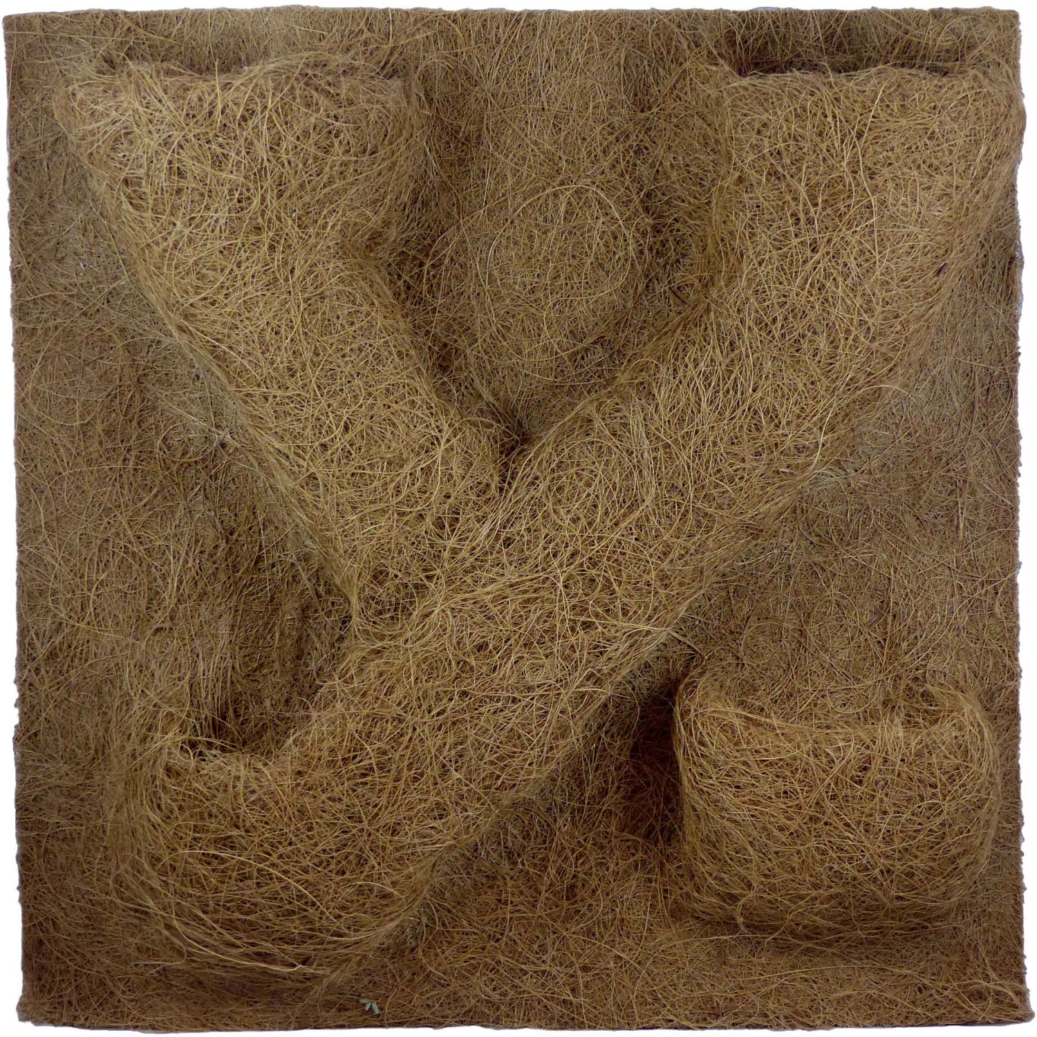 Kokosfaser Rückwand für Terrarien 40 cm x 40 cm mit 4 Pflanzmulden