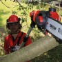 Einhell Akku-Hochentaster GE-LC 18 Li T Solo beim Beschneiden eines Astes.