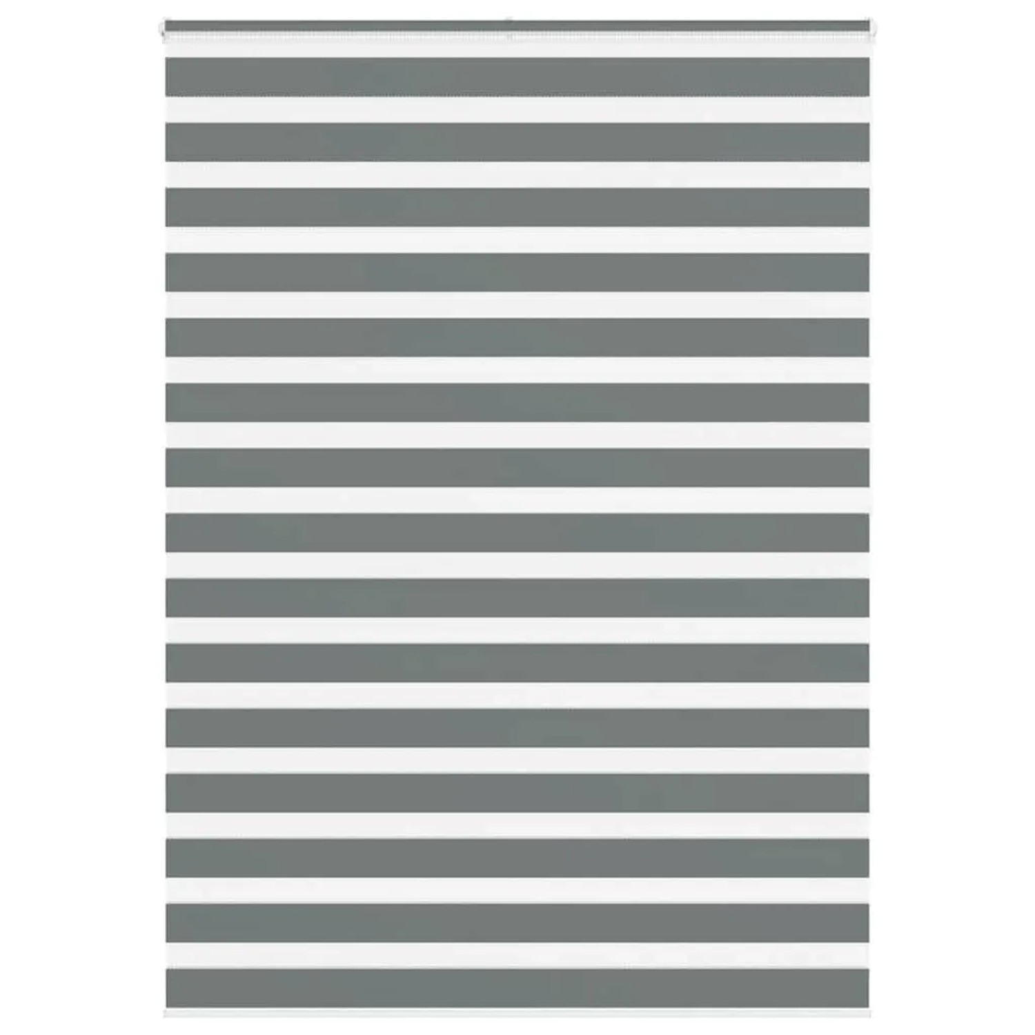 vidaXL Doppelrollo Dunkelgrau 160x200 cm Stoffbreite 155,9 cm Polyester 401 günstig online kaufen