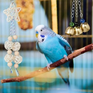 Relaxdays Vogelspielzeug Kiefernholz Kokos Eisen Natur Hängend 7-teilig