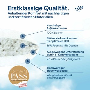 AM Qualitätsmatratzen Premium Daunenkissen 40x80 im 3-Kammer-System Made in Germany & DOWNPASS Zertfiziert
