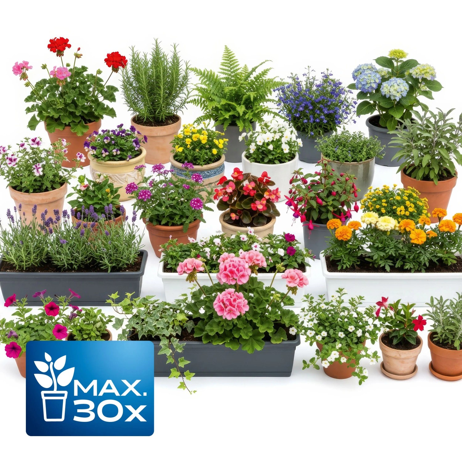 Verschiedene Topfpflanzen für Garten, Balkon & Terrasse. LUX-TOOLS Tropf-Bewässerungs-Set für bis zu 30 Pflanzen.