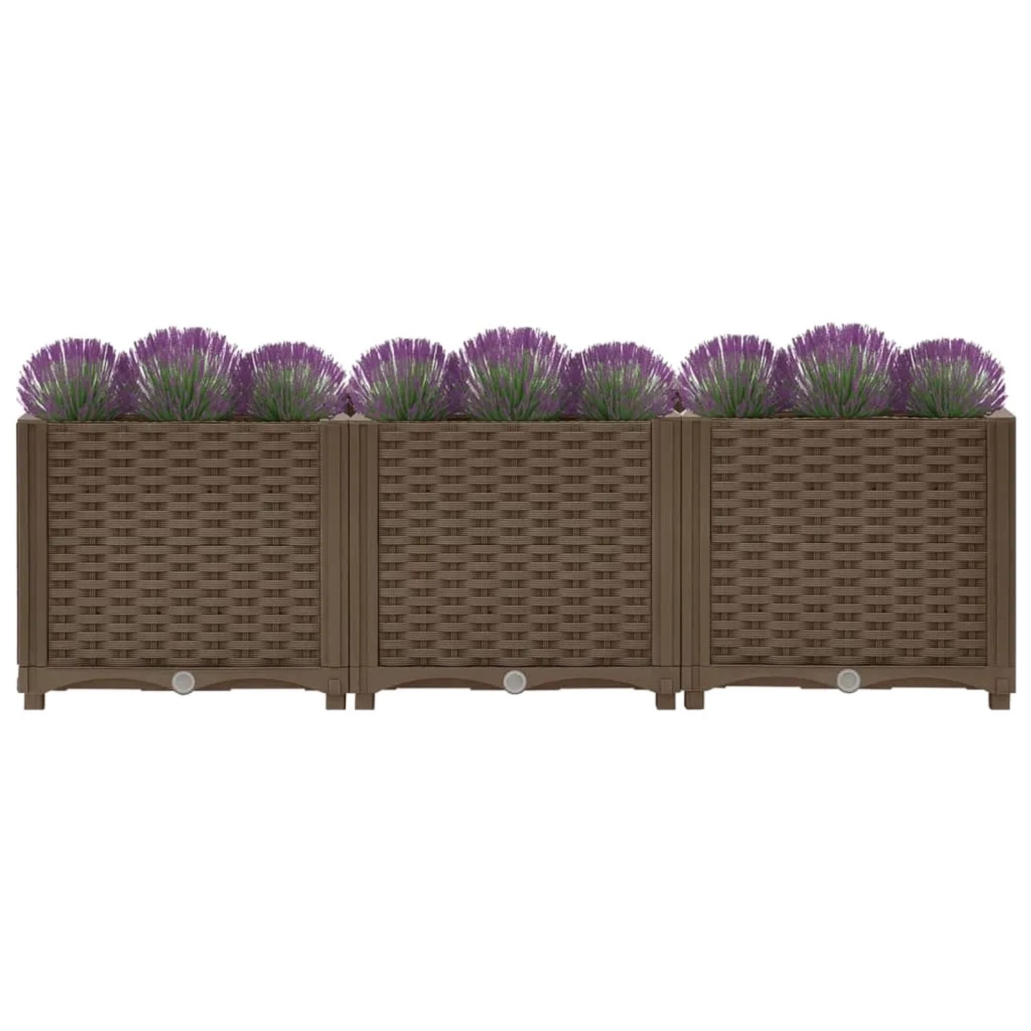 Braunes furnicato Hochbeet (120x40x38 cm) aus Polypropylen mit lila Lavendel.