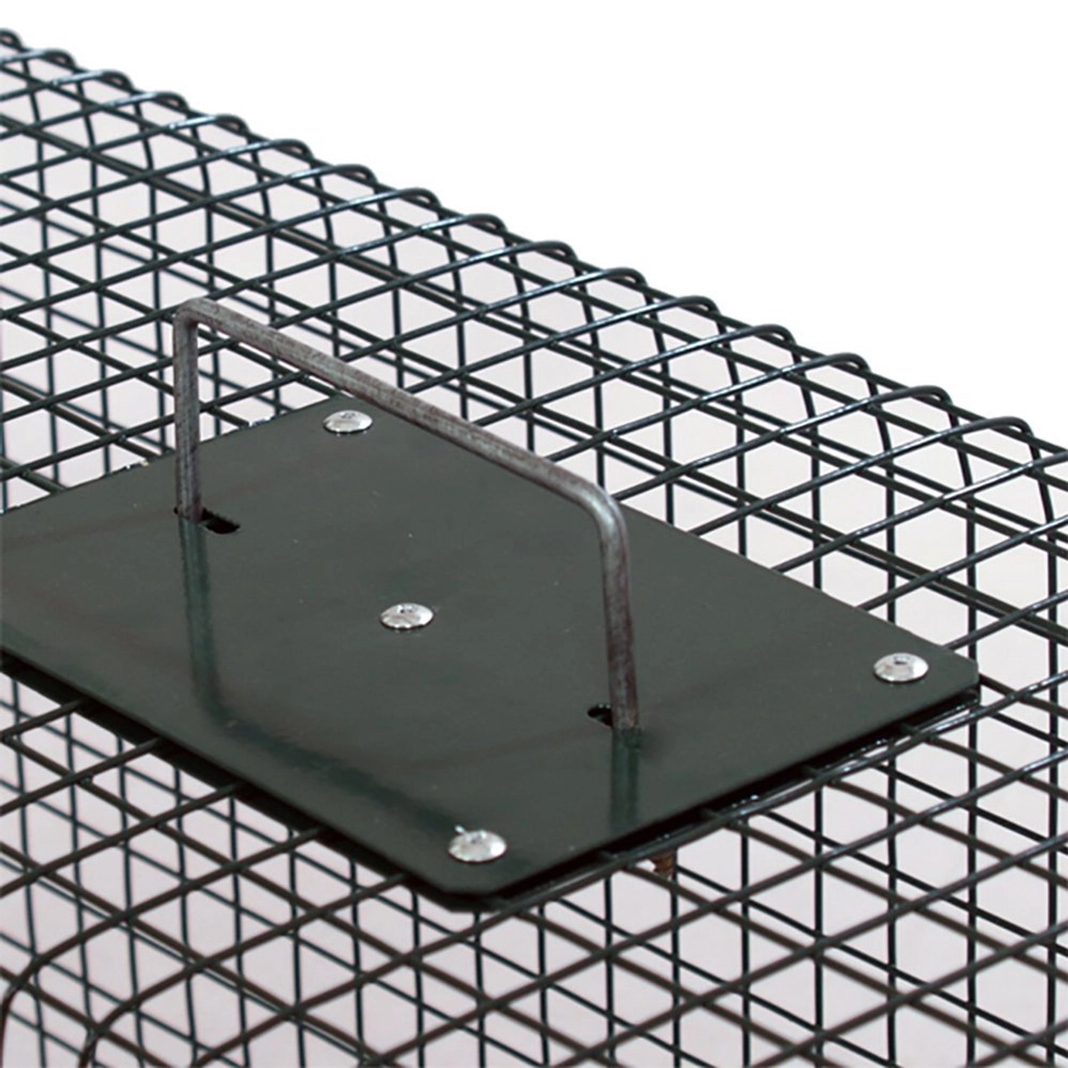 Detailaufnahme der Moorland Safe Lebendfalle mit Handgriff, geeignet für Ratten und Marder.