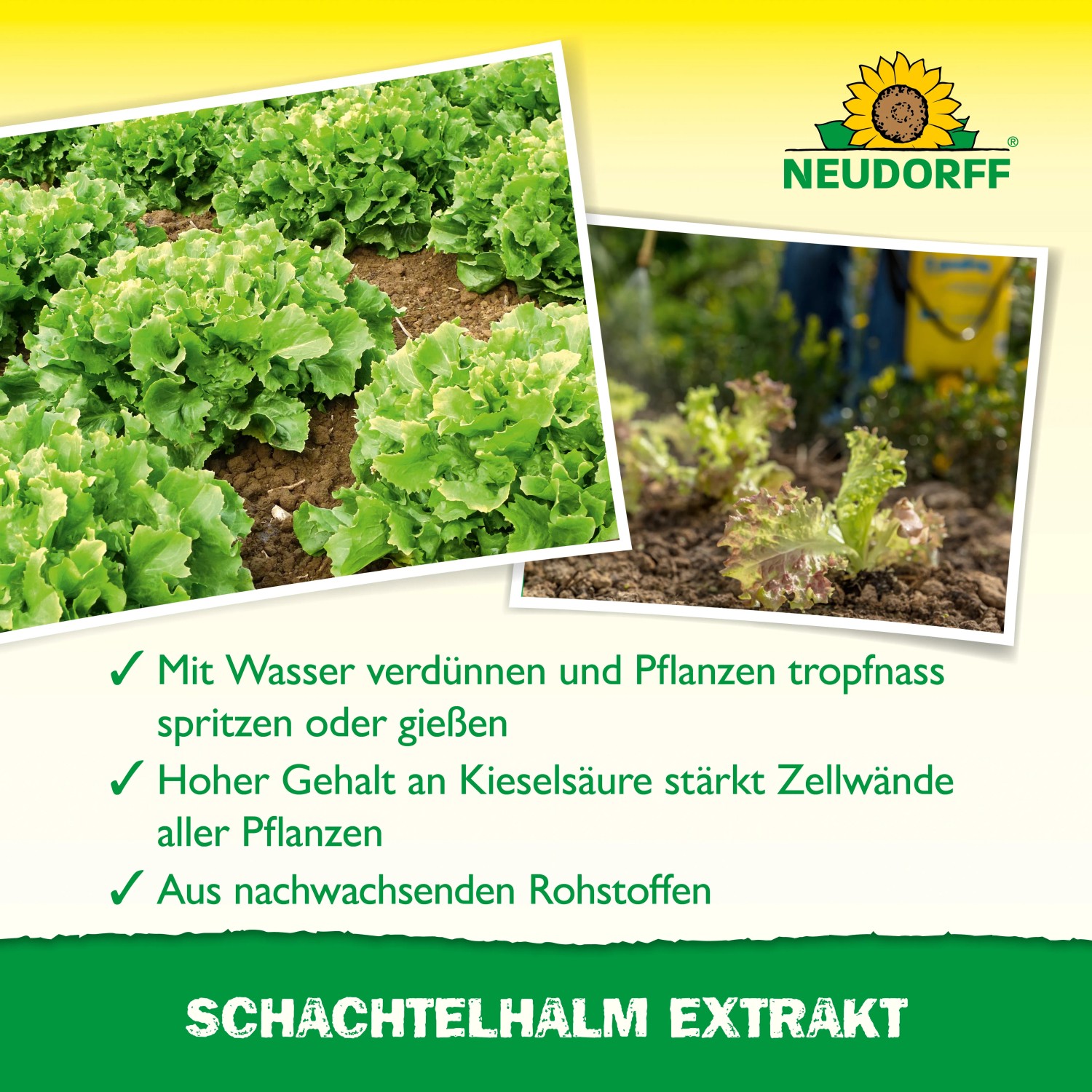 Neudorff Schachtelhalm Extrakt: Pflanzenstärkungsmittel für gesundes Wachstum und gestärktes Gewebe.