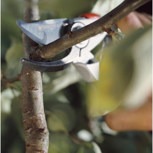 Gardena Premium BP 50 Gartenschere schneidet Ast. Bypass-Schere mit Edelstahlklinge.