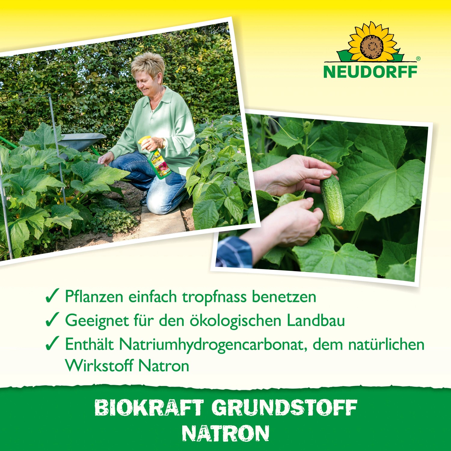 Neudorff BioKraft Natron Pflanzenstärkungsmittel: Frau sprüht Pflanzen, Hände halten Gurke. Schützt vor Mehltau.