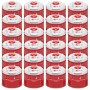 24er-Pack Evocamp Gaskartuschen (300g, Butan/Propan) mit Schraubventil für Campingkocher und Gasgrills.