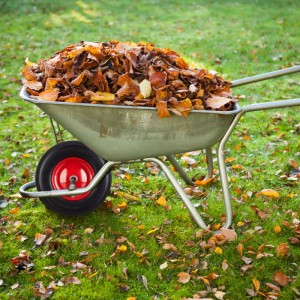 Schubkarre mit pannensicherem Vollgummi Rad (39cm) und Kugellager, gefüllt mit Laub.