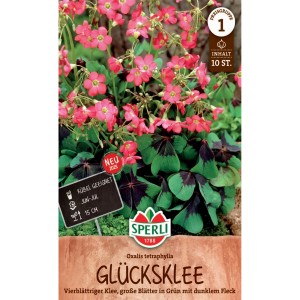 Samenpackung Sperli Glücksklee mit rosa Blüten und vierblättrigen, grün-dunklen Blättern.