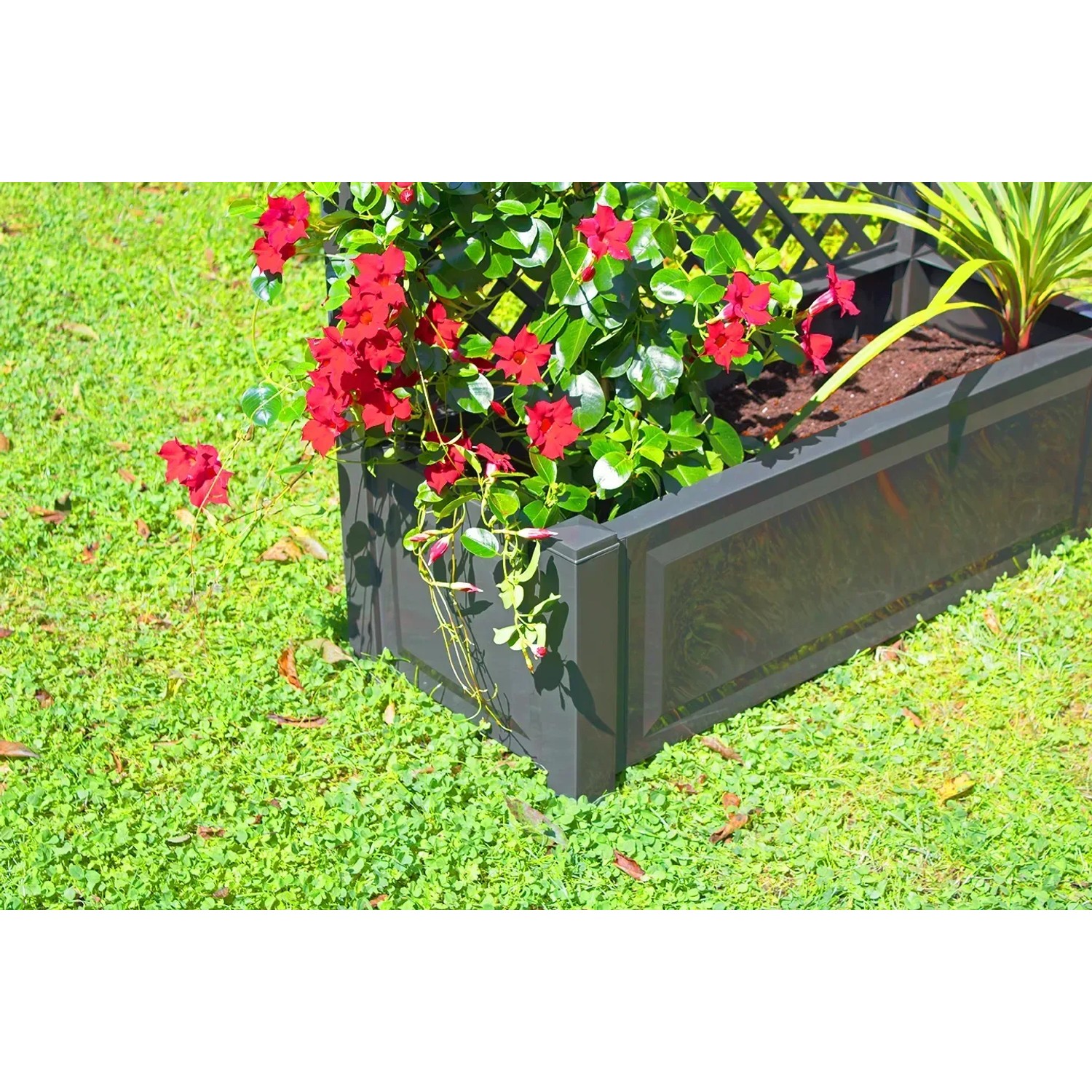 Anthrazitfarbener KHW Pflanzkasten mit Spalier, bepflanzt mit roten Blüten, im Garten.