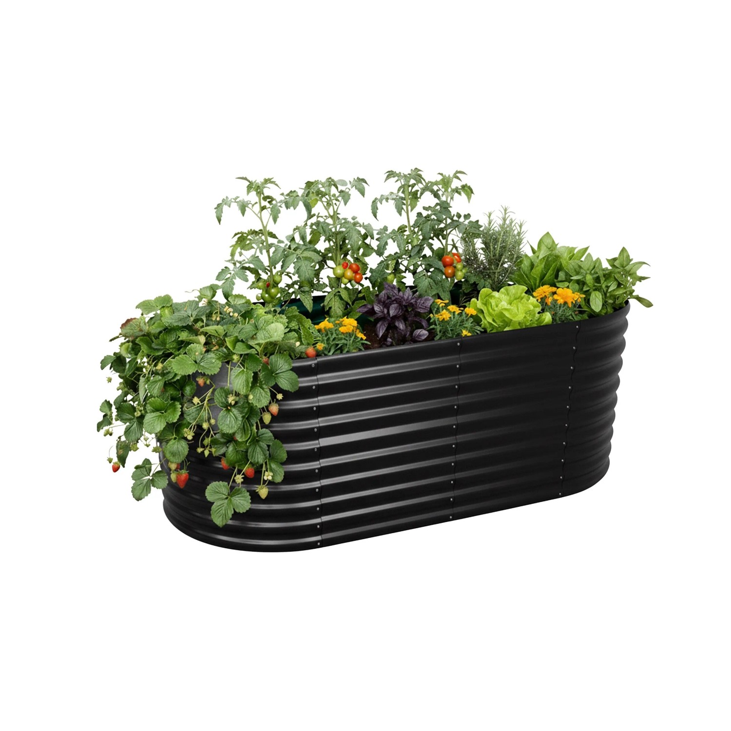 Relaxdays Hochbeet Metall Schwarz Halbrund 80 cm x 160 cm x 80 cm